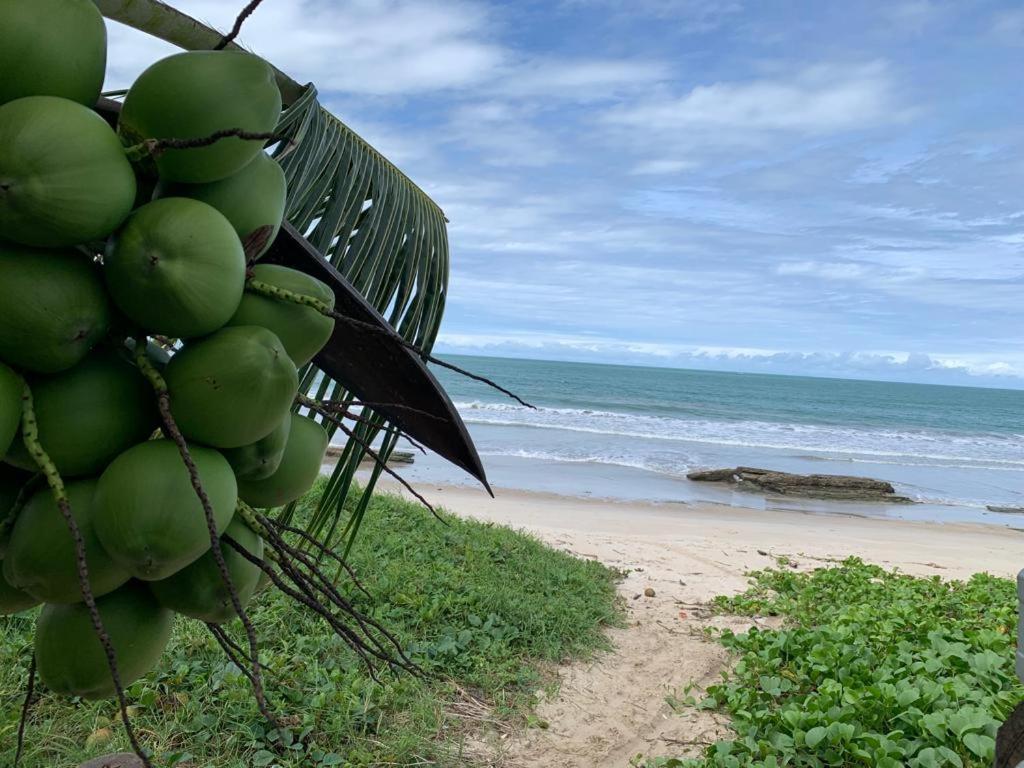 Casa No Paraiso Dos Carneiros Em Tamandaré Екстериор снимка
